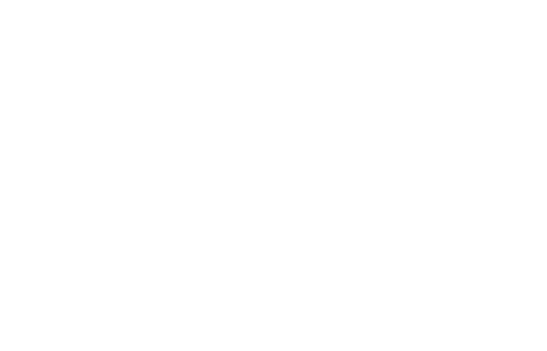 Whirlpool MCP 349 SL - фото 10